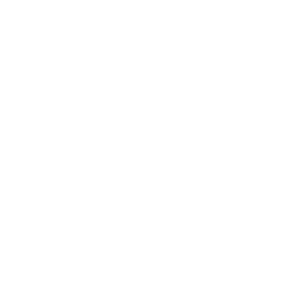 1:1 training icon